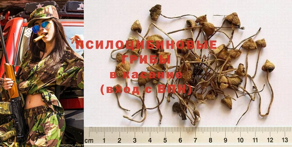 стафф Баксан